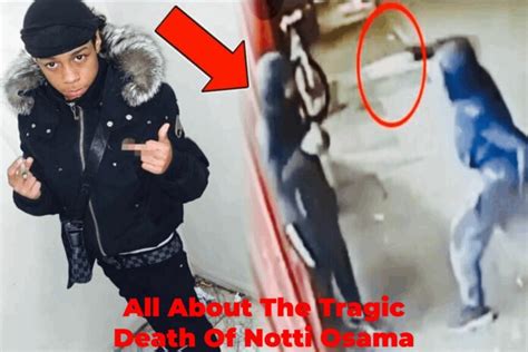 notti osama dead|15